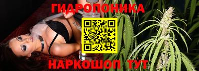 гашишное масло Будённовск