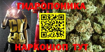 спиды Бузулук