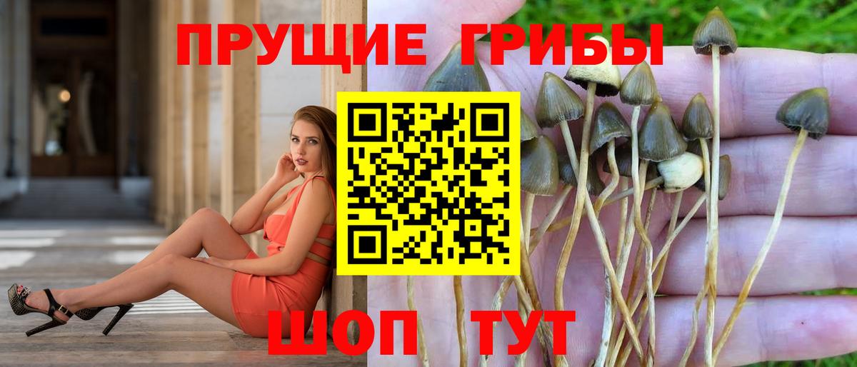 Псилоцибиновые грибы Psilocybine cubensis  Псилоцибиновые грибы мухоморы  Люберцы  Вход с VPN 